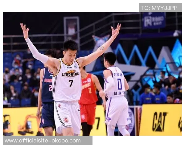 张镇麟的篮球之路：从青涩少年到CBA明星的成长故事与奋斗历程