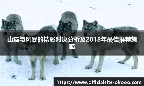 山猫与风暴的精彩对决分析及2018年最佳推荐策略
